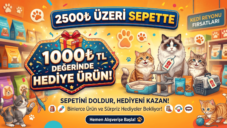 Yorum görseli
